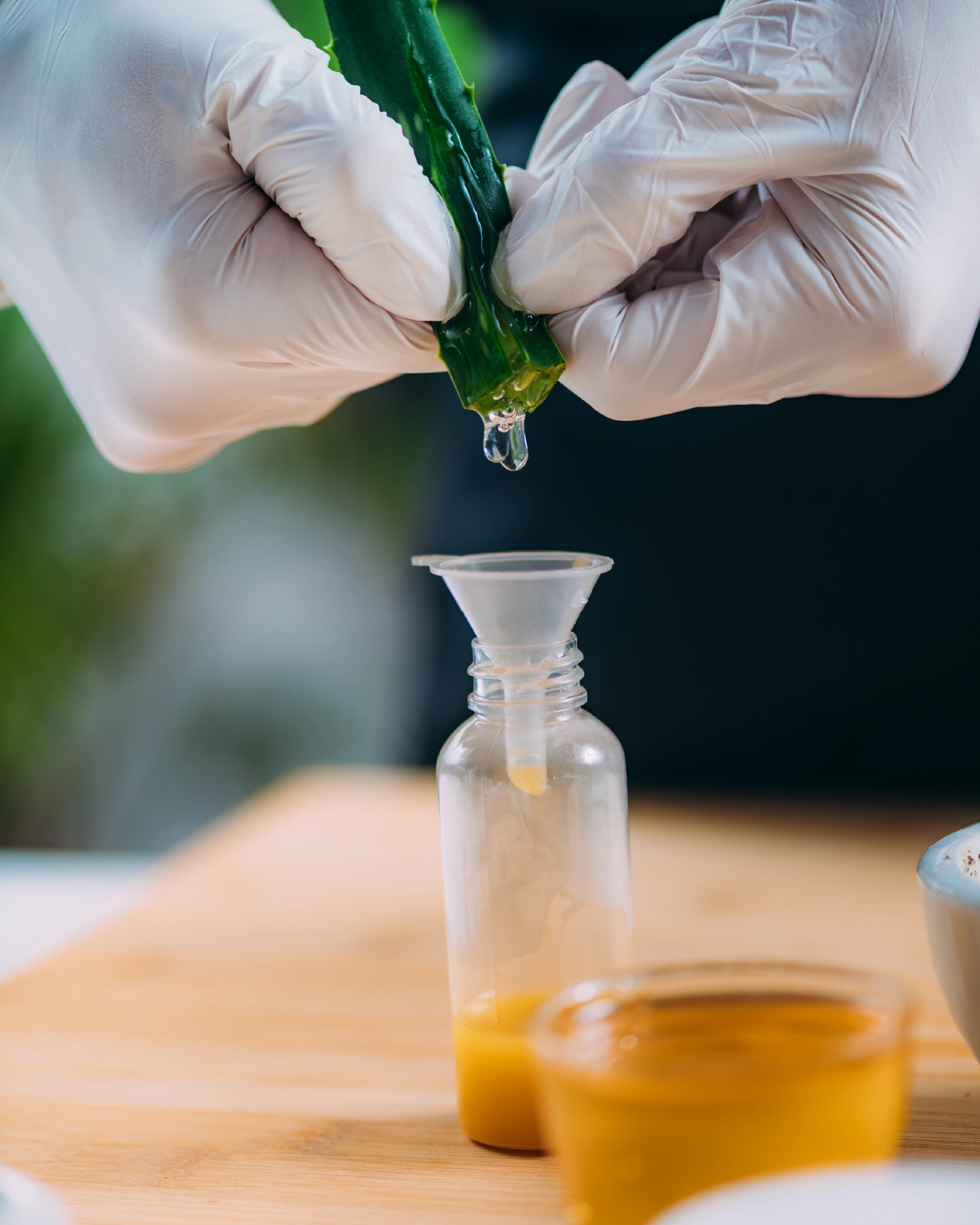 Ayuvia Ingredients — Pure, Natural, Effective